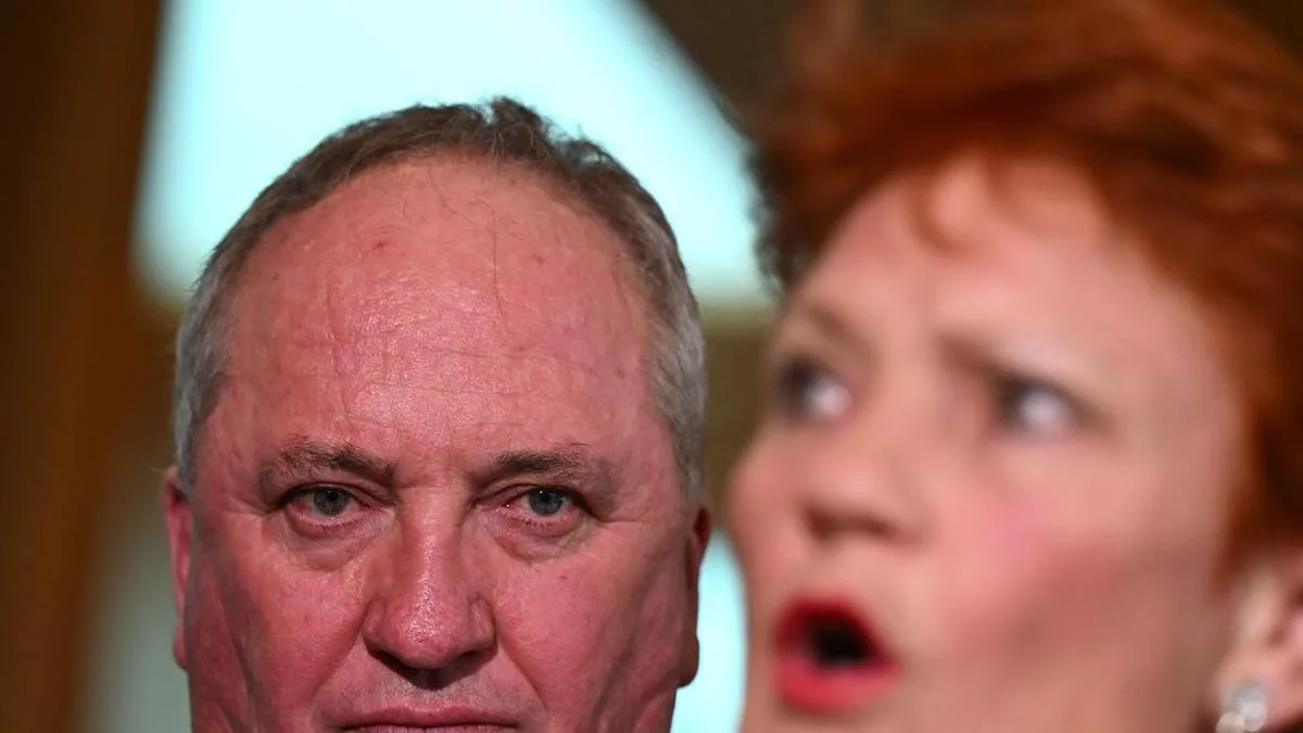 'Basic facts': One Nation slammed for migration muddle