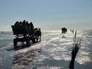 La côte allemande de la mer du Nord : une destination à contre-courant