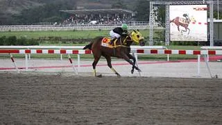 Sangre Real: Debuta hijo de Triple coronada invicta y campeona del Caribe