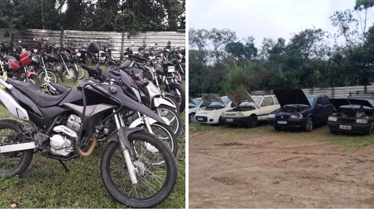 Chance de ter veículo próprio em SC: Detran faz leilão com lances online e opção para rodar