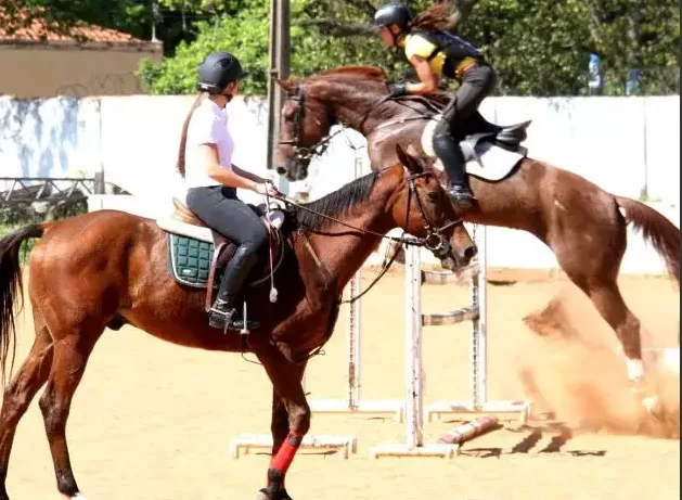 Festival equestre terá provas de hipismo, três tambores e R$ 50 mil em prêmios