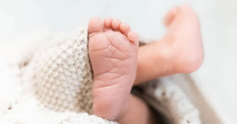 5 meses e jornada contínua. O que muda na licença parental?