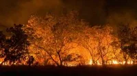 FAB realiza primeira missão de combate aos incêndios no Amazonas