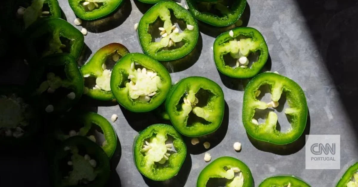 O que é que ovos, jalapeños, galinhas e camaleões têm em comum este verão: salmonela