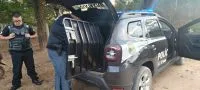 Cuidadora é presa suspeita de furtar joias de idosas em Brasília; assista