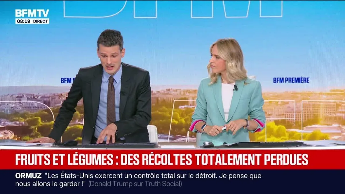 BFM éco : Fruits et légumes, des récoltes totalement perdues - 13/08
