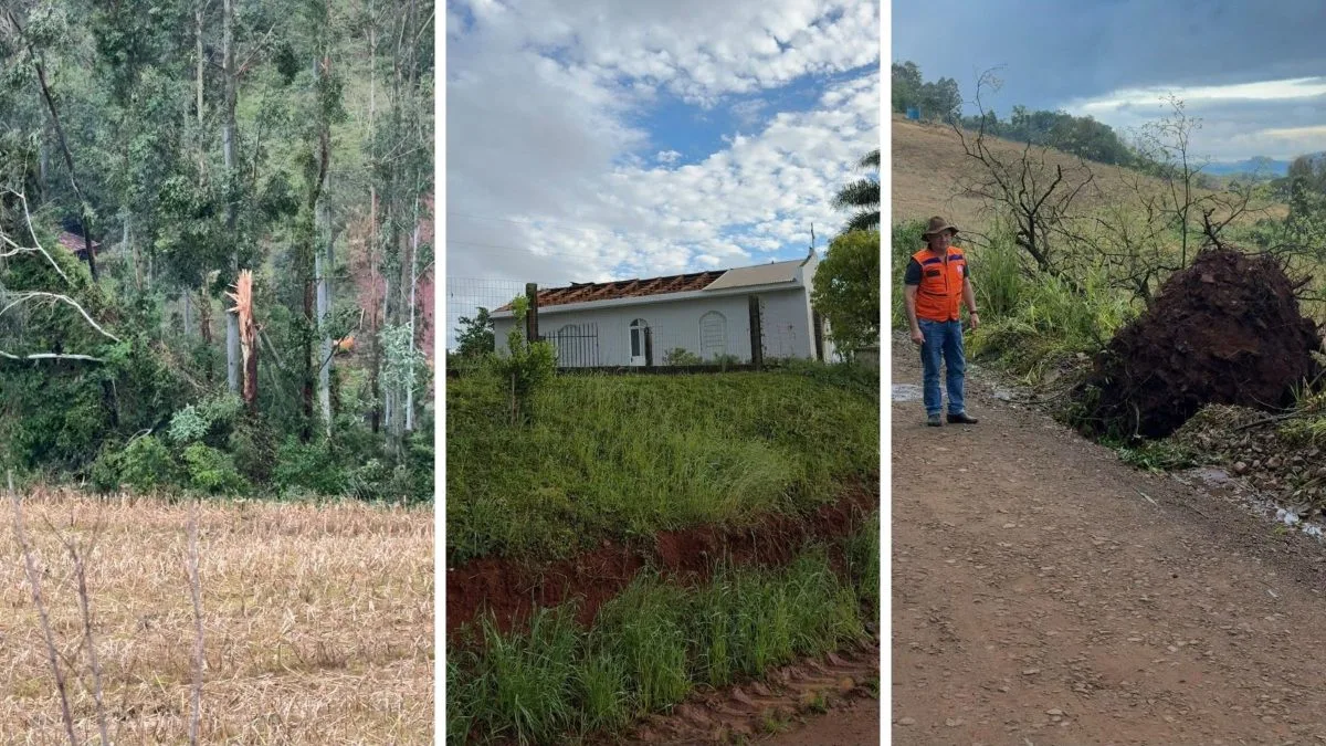 Microexplosão deixa árvores quebradas ao meio, arrancadas pela raiz e imóveis destelhados no interior de SC