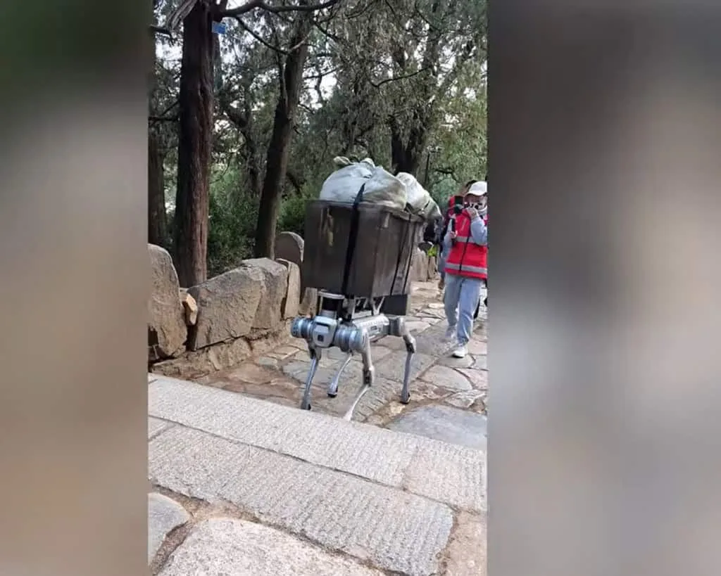 Cães-robôs podem virar os novos ajudantes dos astronautas na Lua