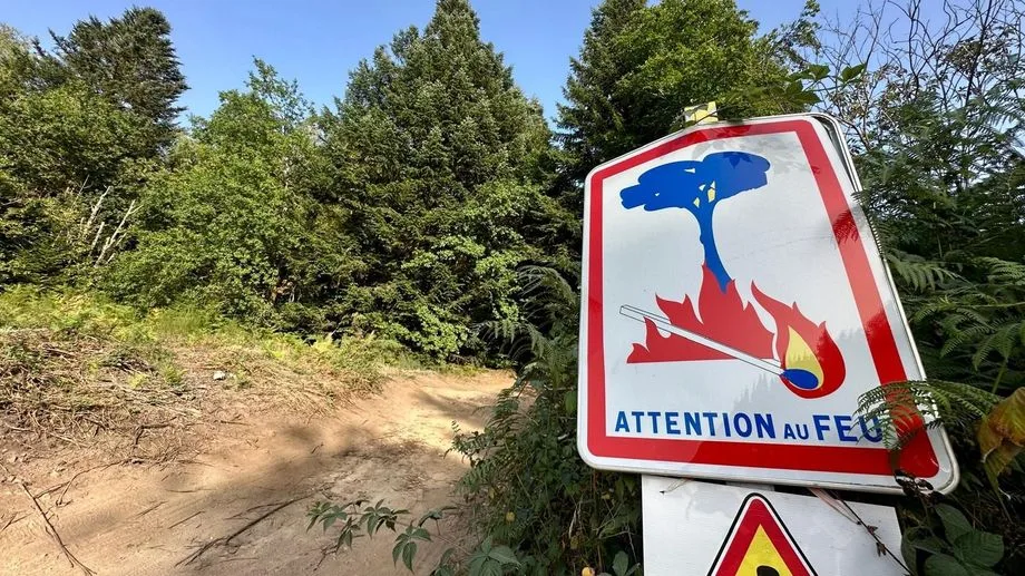 Feux de forêt : huit départements du Sud-Est placés en risque "élevé"
