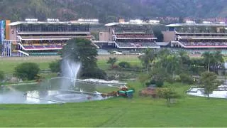 Estos son los retirados de la Reunión N°40 en el hipódromo Internacional La Rinconada para el domingo 11-10-2026