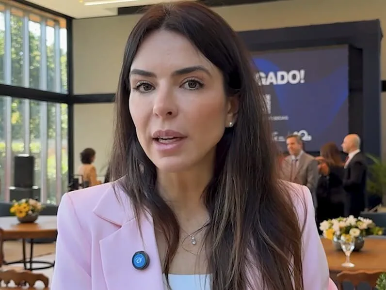 "Não dá para dissociar MEI do Simples Nacional", defende Any Ortiz