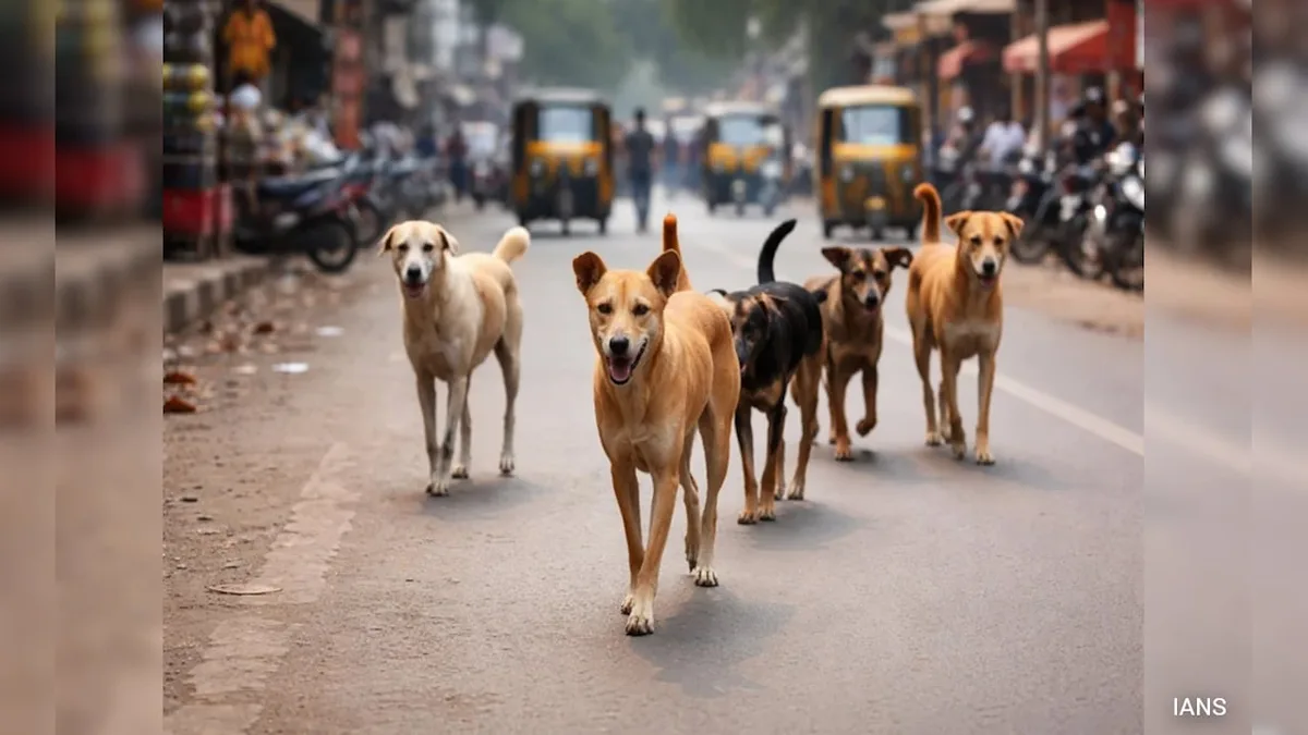 Over 100 Dog-Bite Cases Reported In Assam's Dibrugarh In A Week