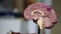 Estudo inédito: 1 em 4 ex-jogadores da NFL, mortos entre 2016 e 2021, tinha doença cerebral
