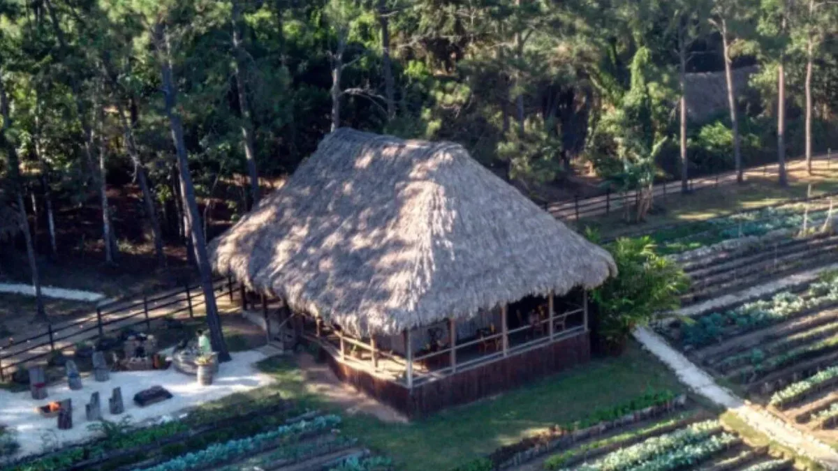 Francis Ford Coppola turned abandoned Belize lodge into 20-room resort