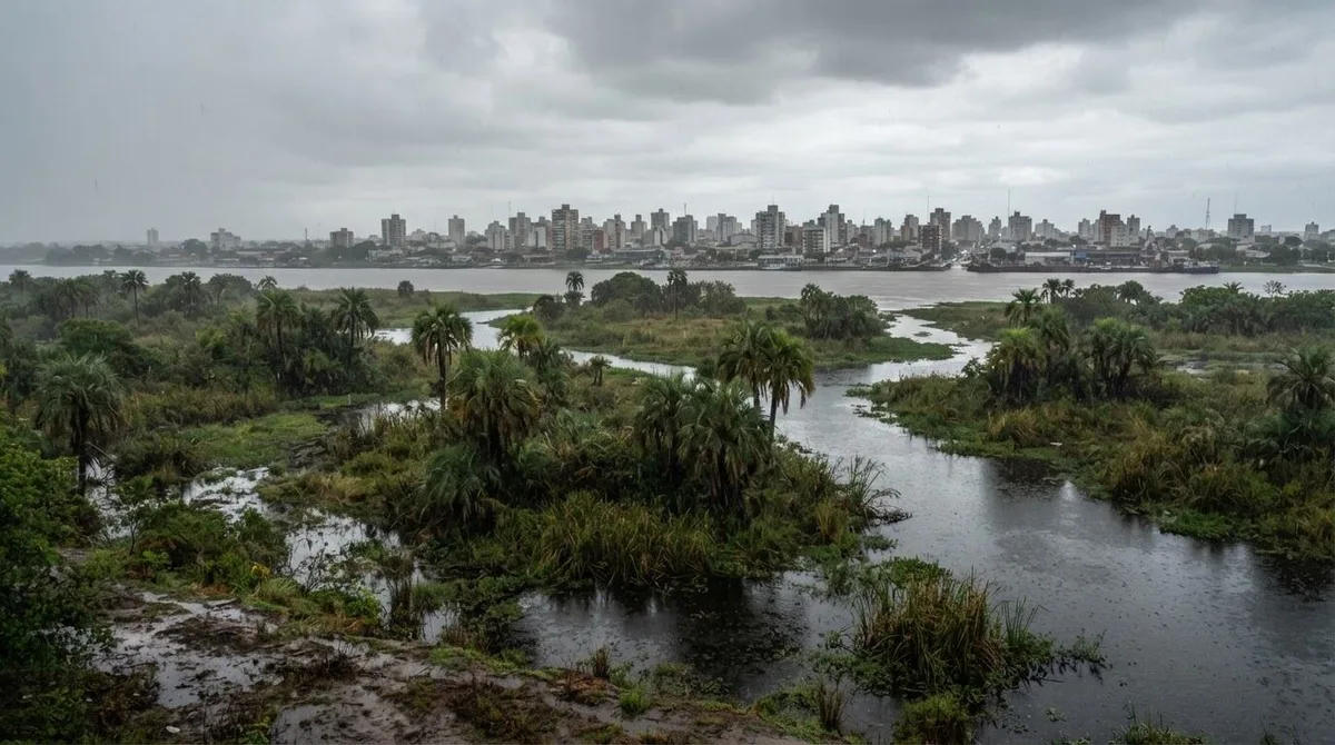 Clima en Formosa hoy sábado 19 de septiembre: lluvia moderada durante toda la jornada