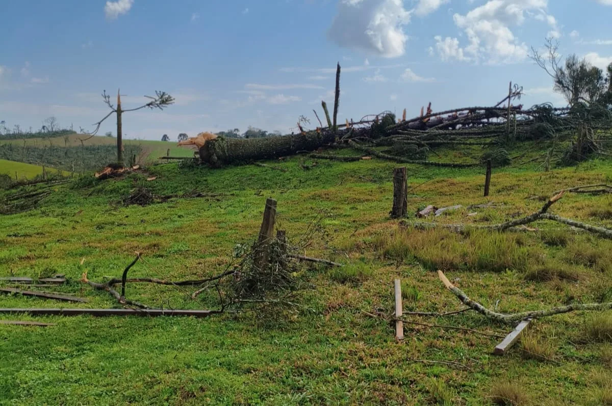 Após tornado, produtores rurais do Paraná devem documentar prejuízos