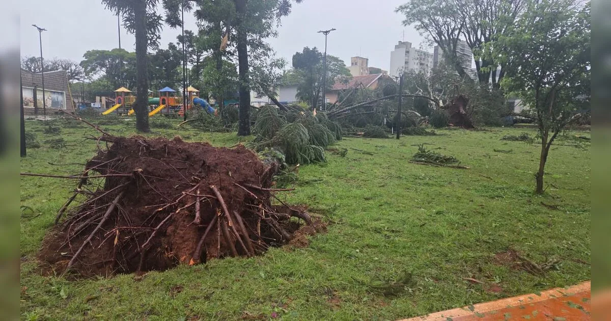 Após temporal diocese de Apucarana mobiliza campanha para arrecadar doações