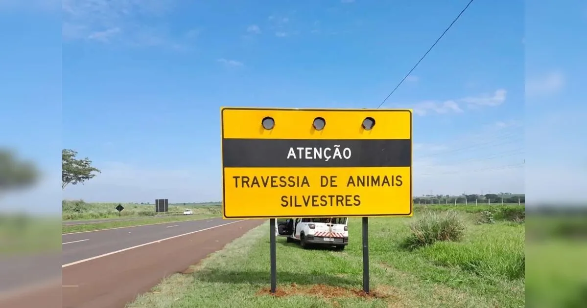 Feriado prolongado: IAT reforça cuidados com a fauna silvestre na estrada
