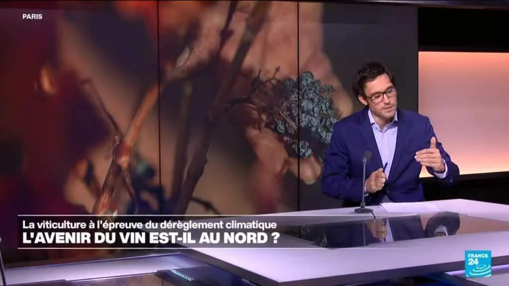 Avec le réchauffement climatique, l'avenir du vin est-il au Nord ?
