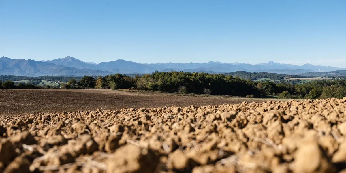 Contre la désertification et la sécheresse, une COP17 cruciale s’ouvre ce lundi en Mongolie