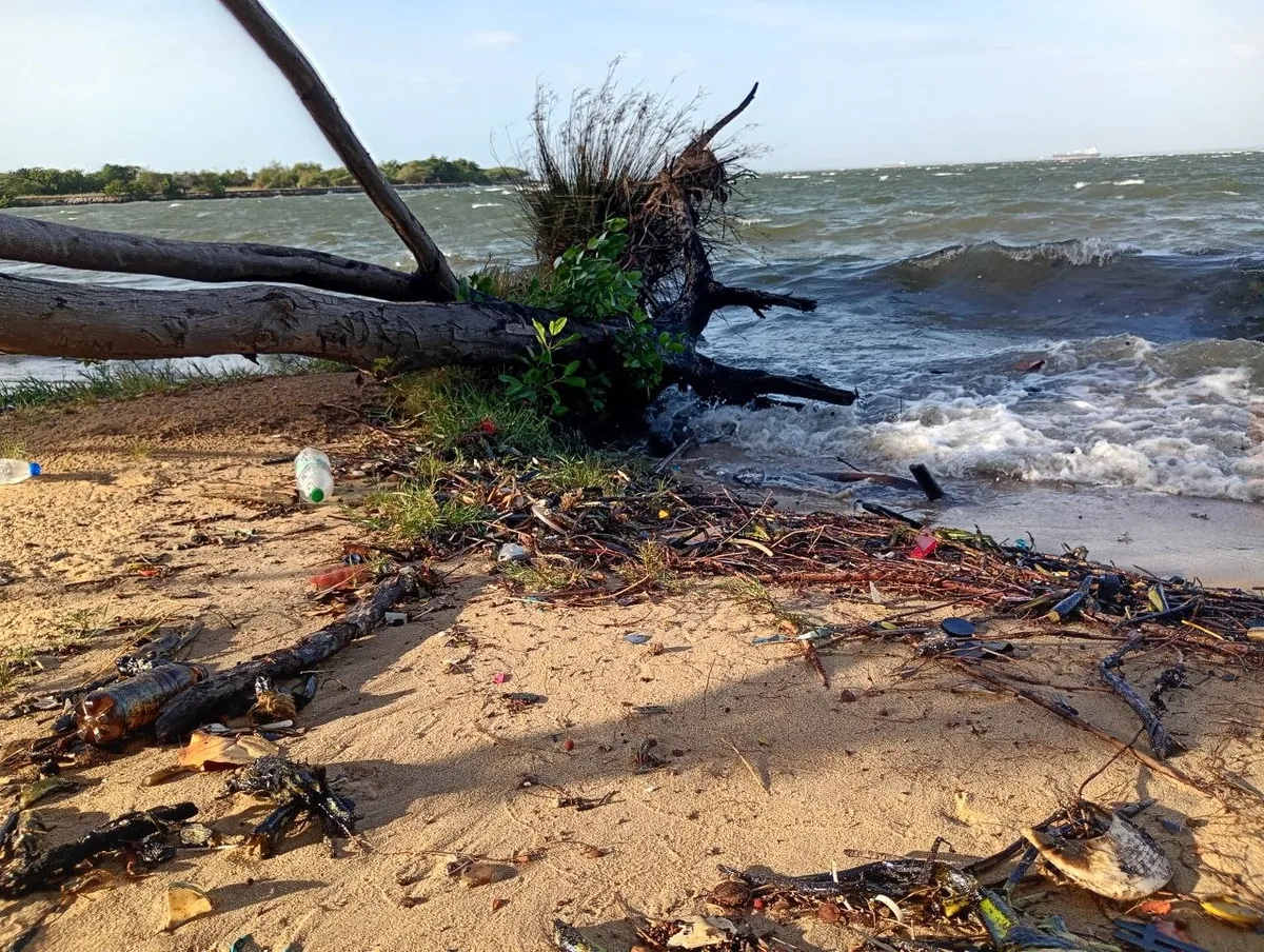 Derrame petrolero en el Lago de Maracaibo afectó a fauna marina y dejó manchas negras en la costa