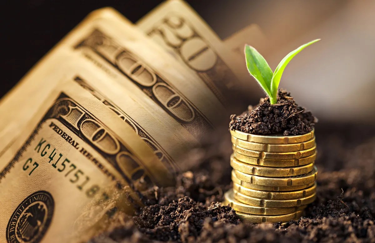 La nueva racha del agro: qué empresas activaron inversiones por u$s 3800 millones