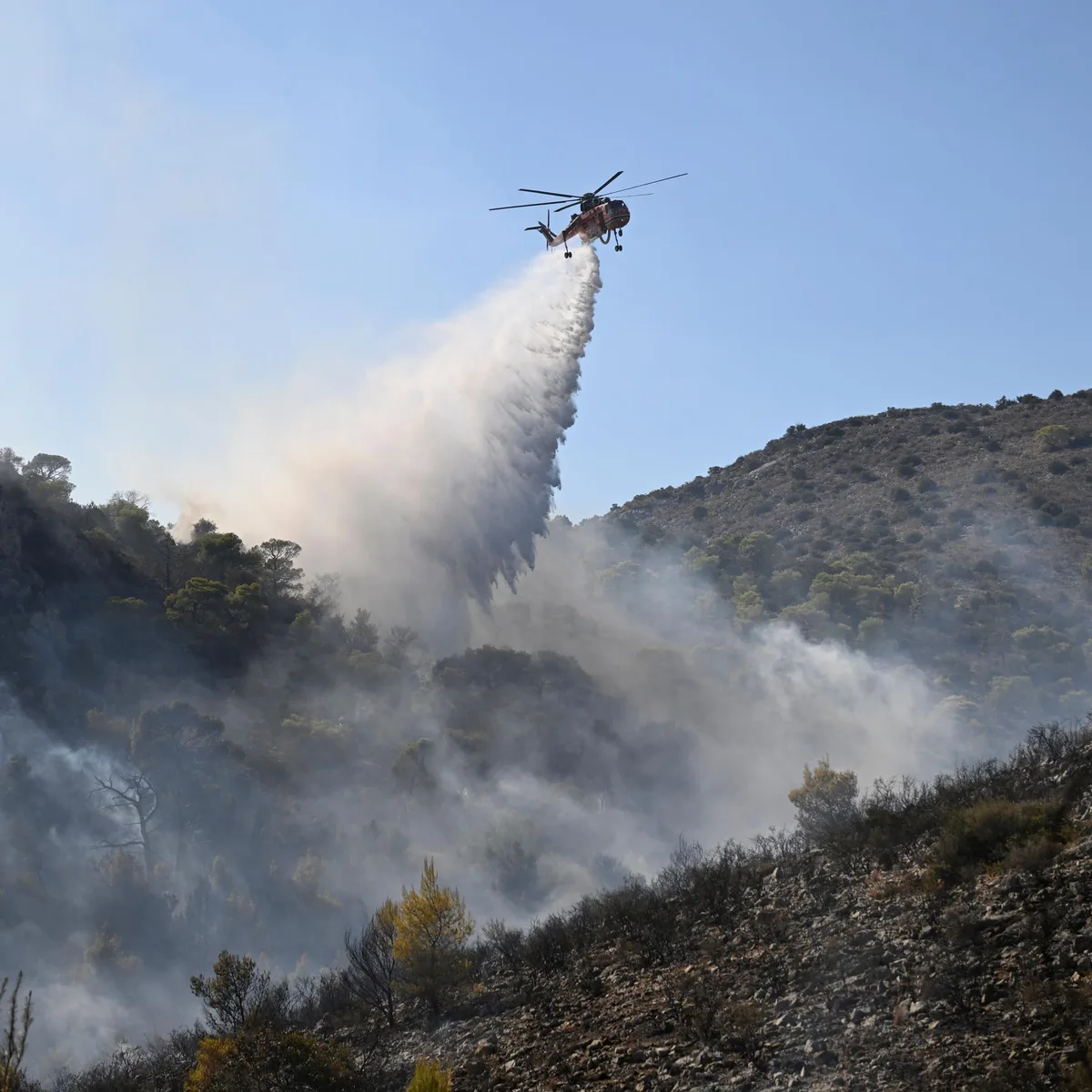 Wind erschwert Löscharbeiten - Griechenland: Zwei Tote bei Waldbränden auf der Insel Salamis