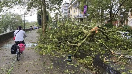 Météo-France maintient 23 départements en vigilance orange aux orages alors que les intempéries se déplacent vers l'est