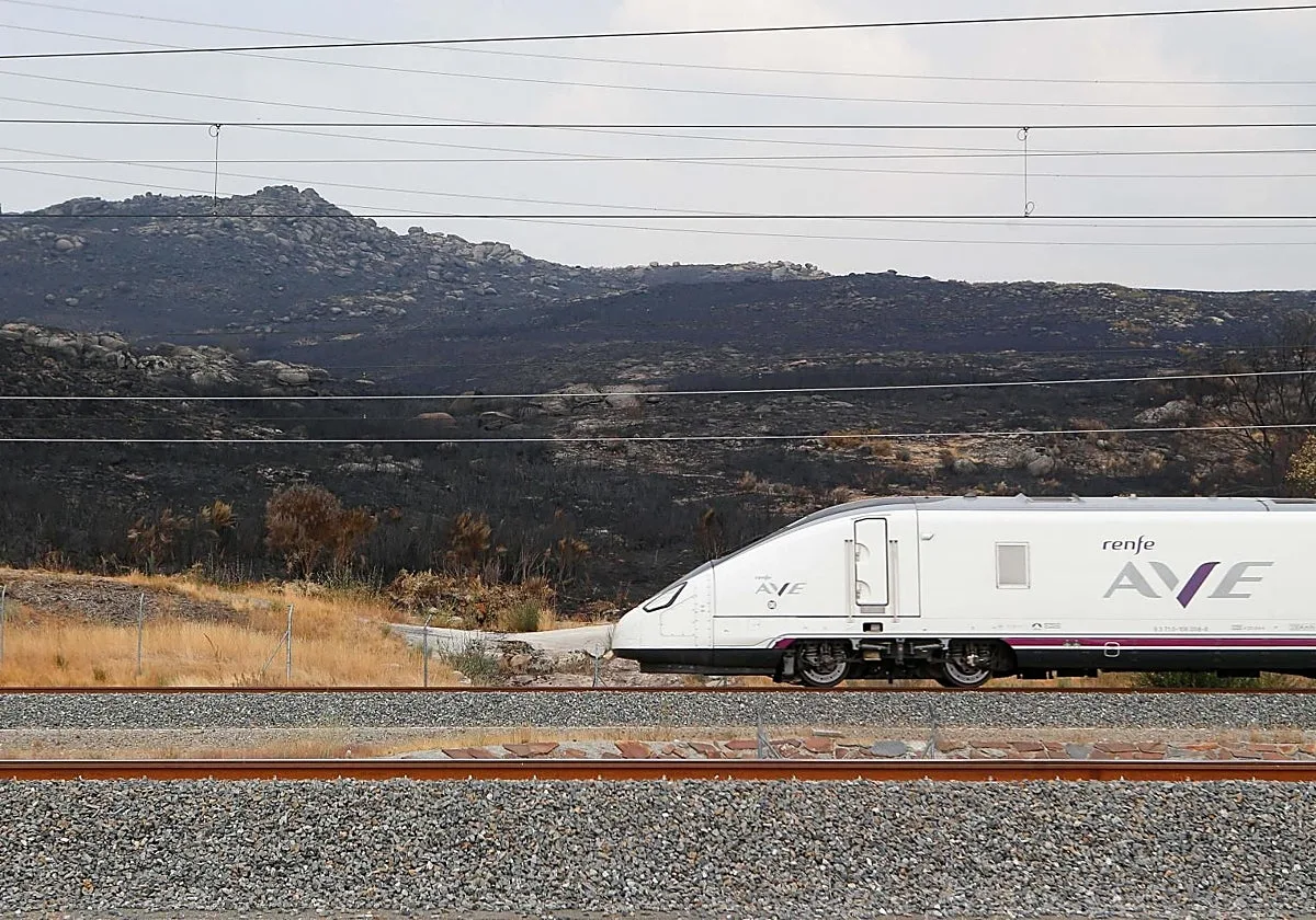 Puente ignora la recuperación del compromiso de puntualidad de Renfe tras otro verano de retrasos en el AVE