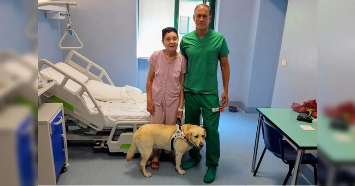 Cirurgia inédita transfere partes de um olho para o outro e devolve visão a italiana de 67 anos