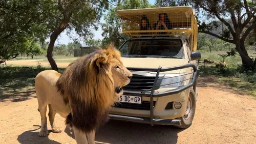 Why a Johannesburg safari could be the ultimate family day out