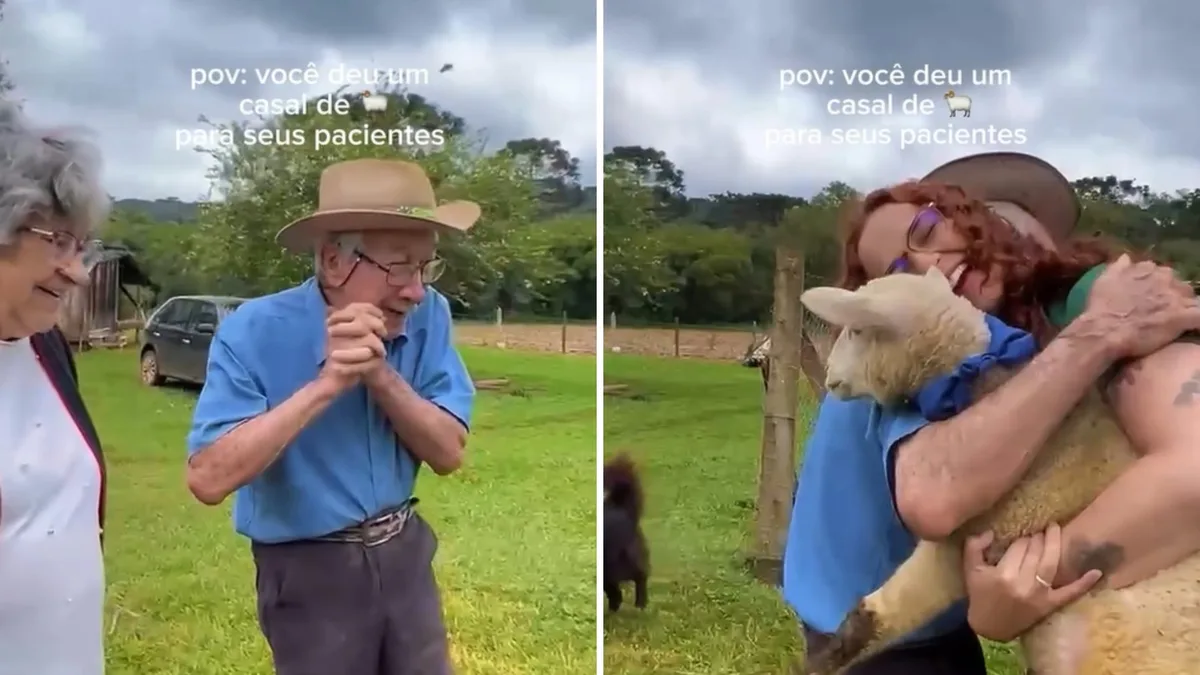 VÍDEO: fisioterapeuta surpreende paciente idoso com carneirinhos de presente em aniversário de 93 anos: 'Ele falava muito que queria'