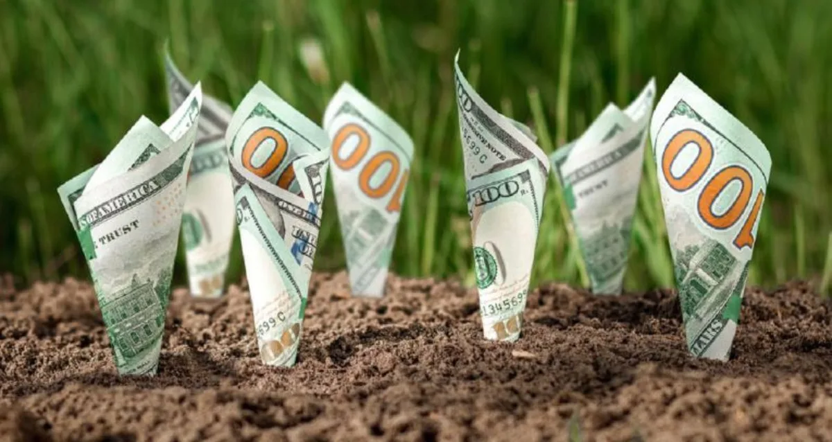 Fundo imobiliário do agronegócio recebe R$ 48,8 milhões por recompra de imóveis; veja os detalhes