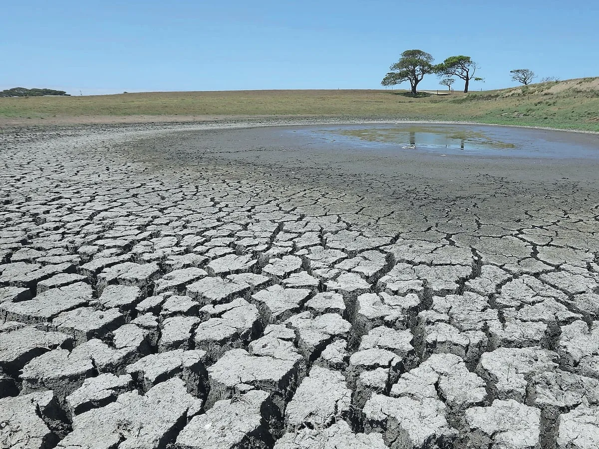 What is El Niño and should South Africans be concerned?