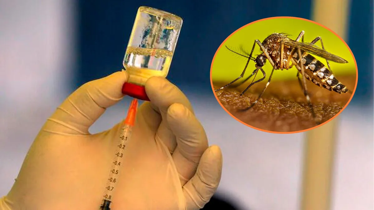 Dengue en San Martín: vacunación y control de criaderos ante la presión sobre los hospitales supera los 7.000 casos de dengue y registra 15 muertes