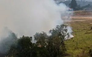 Com previsão de temperaturas mais altas em SP, defesa Civil alerta para incêndios