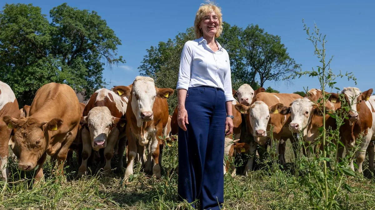 Oktoberfest: Vom Kalb zum Wiesn-Star: Ochsen fürs Oktoberfest