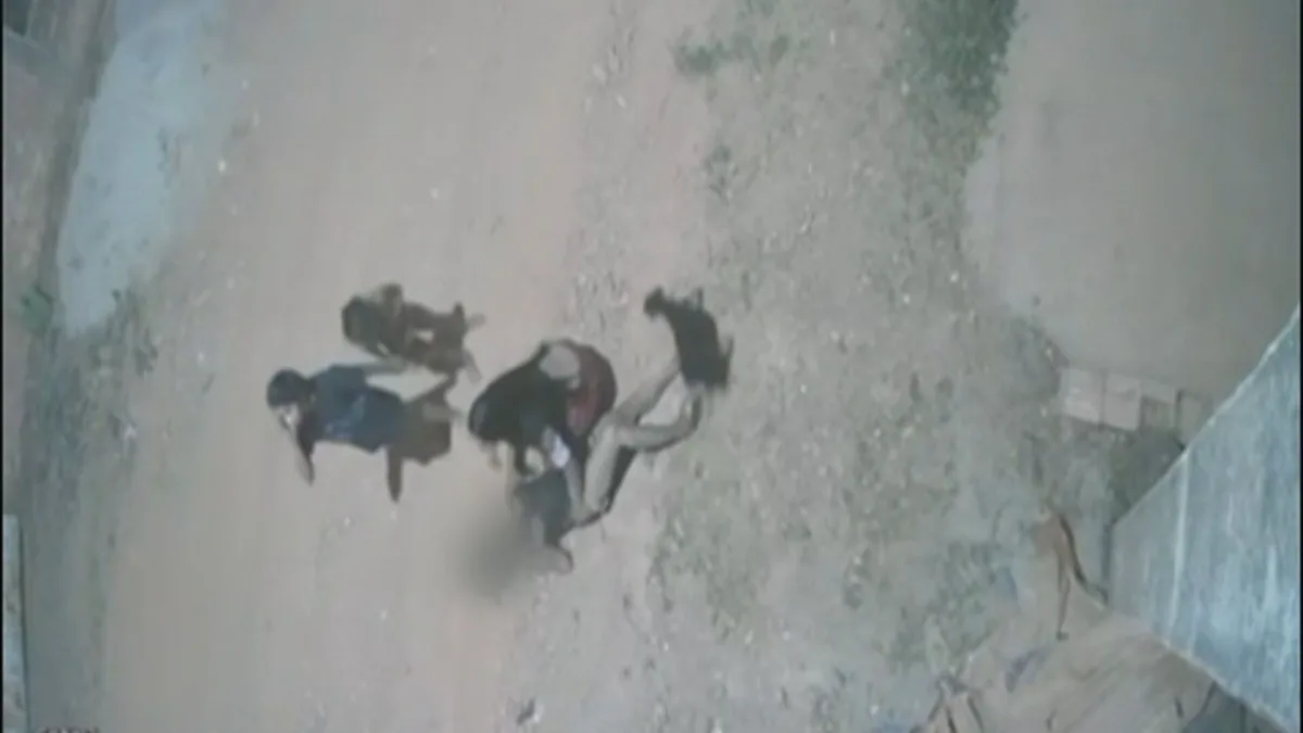 VÍDEO: homem é preso suspeito de atropelar mulher no DF