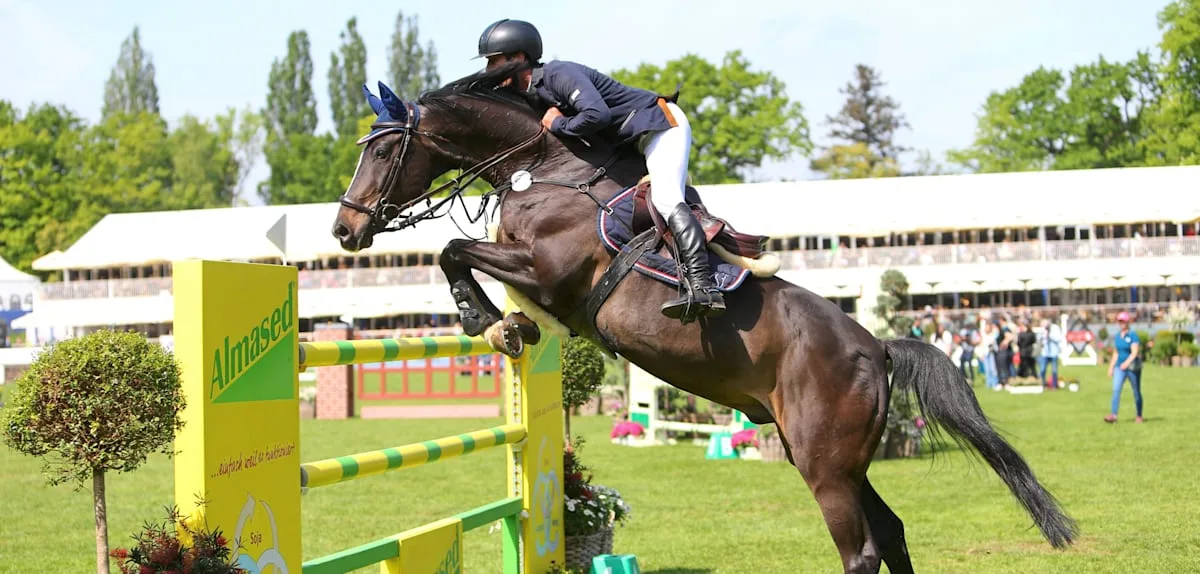 Rätsel um Millionärin – Selbst Söder scheitert bei abgetauchter Reitsponsorin