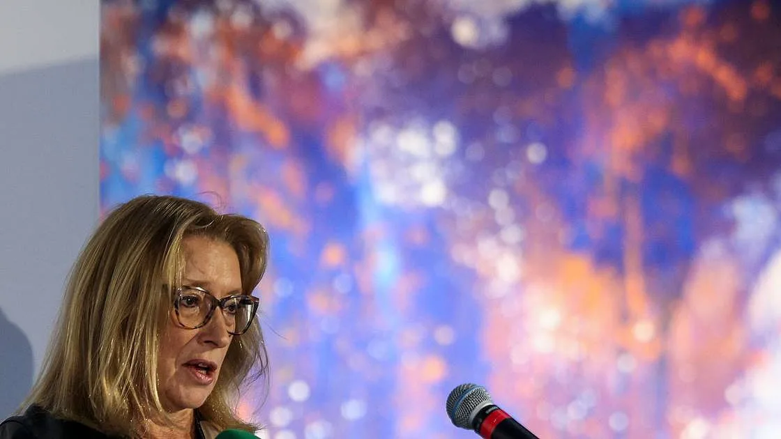 Ministra admite que "ainda há mulheres que não são contratadas ou são despedidas por estarem grávidas"