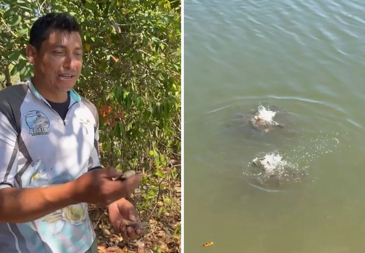Pescador mostra lago repleto de piranhas no TO e brinca: 'Não é bom banhar aqui'