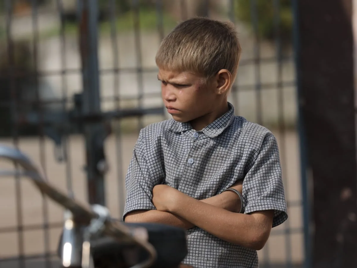To stop violent men, look at the boys they were
