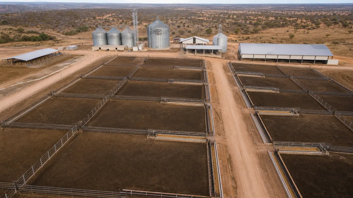 Confinamento em Mato Grosso é estimado em 1,33 milhão de cabeças em 2026