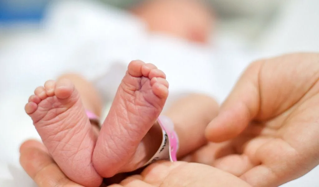 IMSS confirma bacteria en 4 de 5 bebés fallecidos en Durango; padres exigen a la FGR investigar los casos
