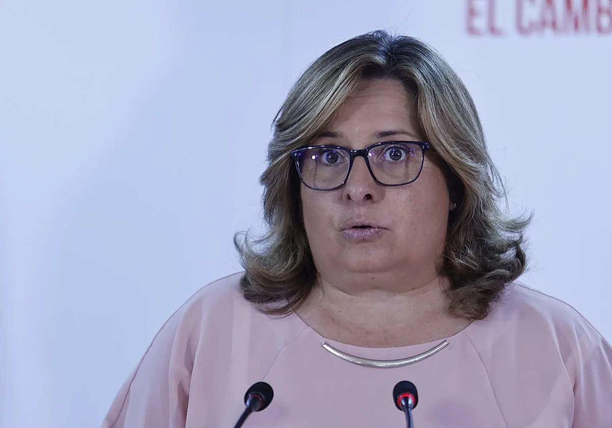 EL PSOE pide en las Cortes que la Junta duplique hasta los 40 millones el Fondo de Cohesión Territorial