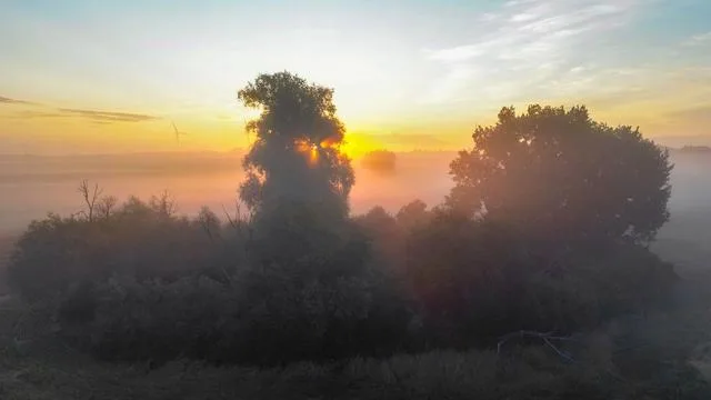 Wetter: Nebel am Morgen - bis zu 20 Grad am Freitag