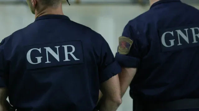 GNR registou 193 burlas com falsos polícias e inspetores da ASAE