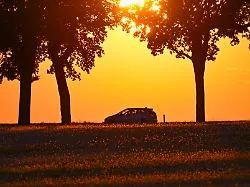 Neun Dinge, die wiederkommen: Nie war der Herbst verlockender