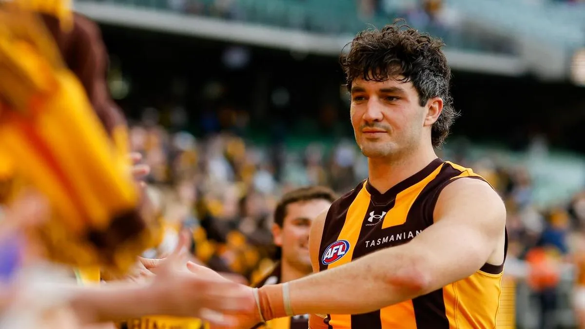 AFL umpire felt 'threatened, intimidated' by Hawks guns