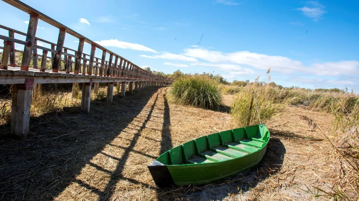 Análisis del robo de agua en España: un delito ambiental impune y extendido